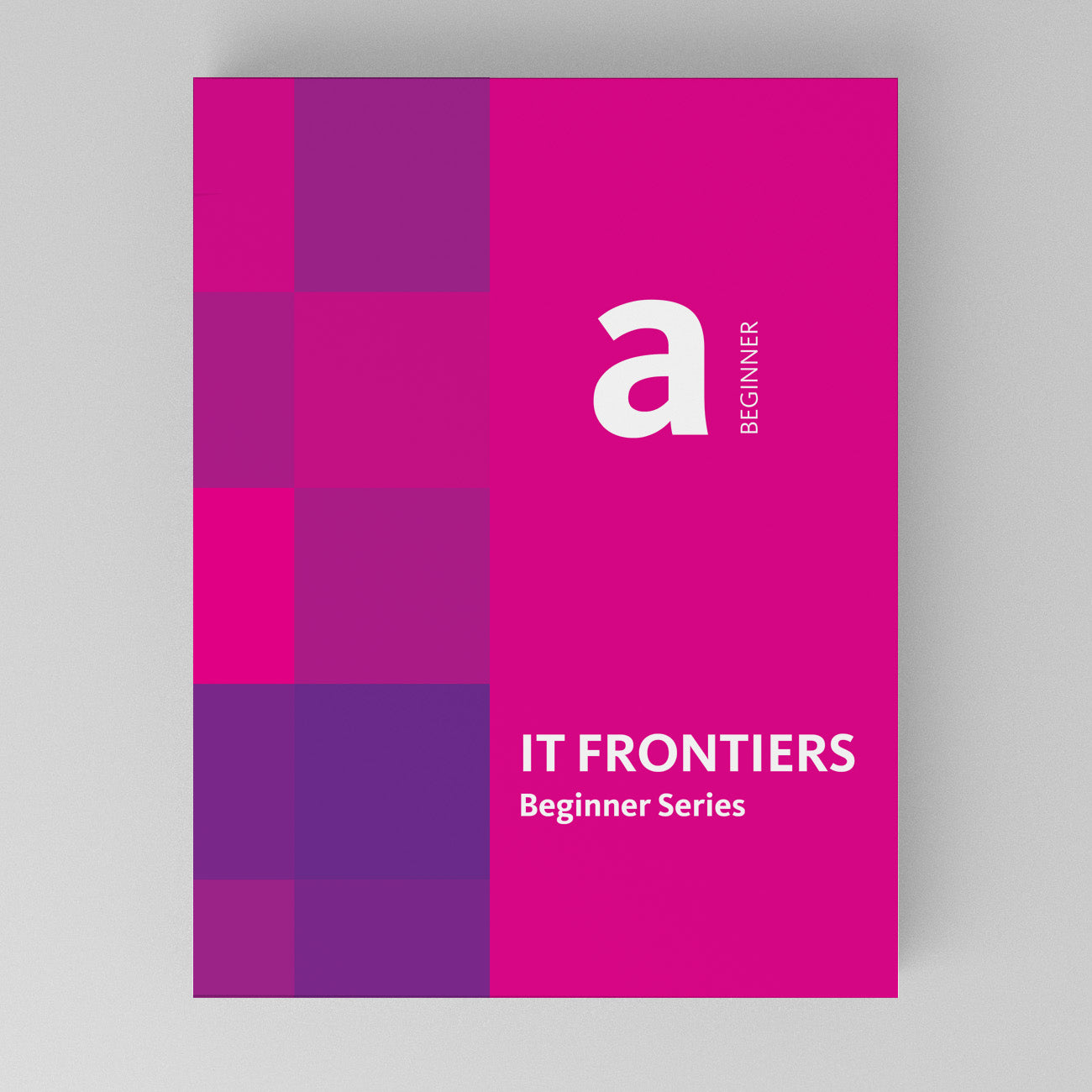 IT Frontiers