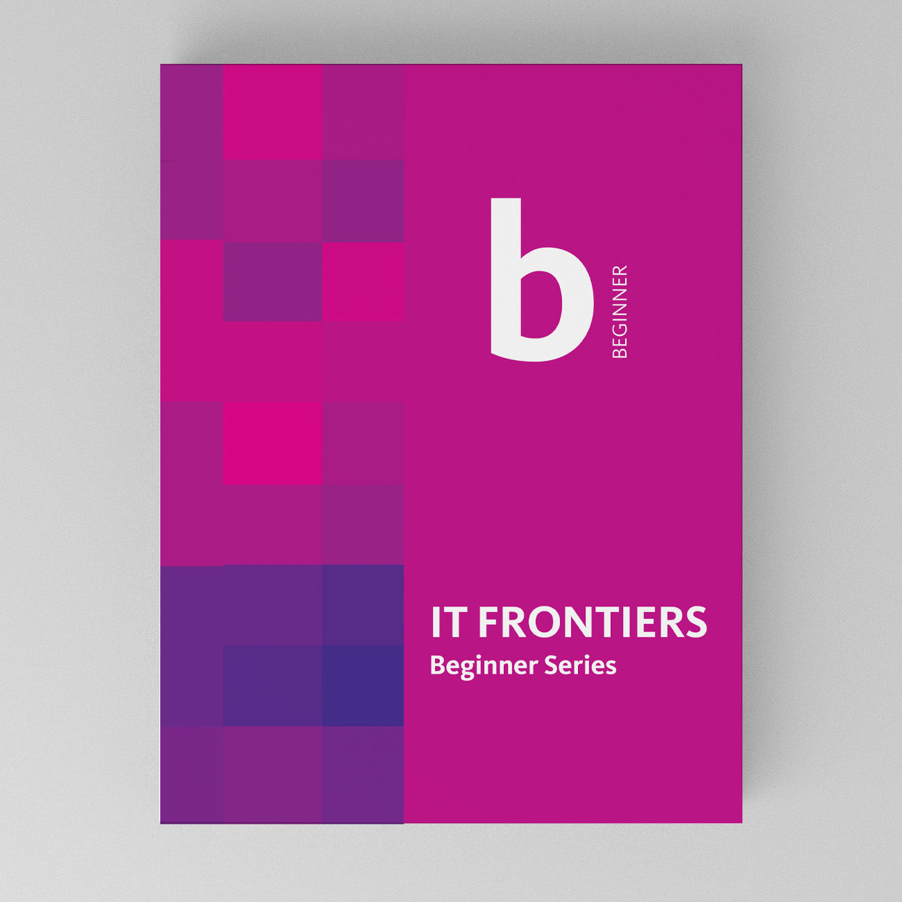 IT Frontiers