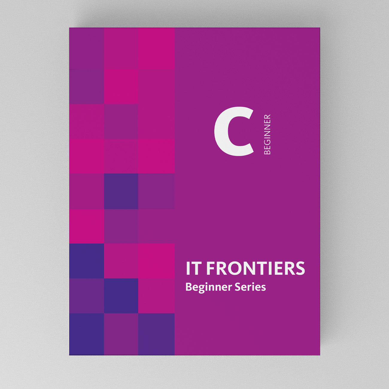 IT Frontiers